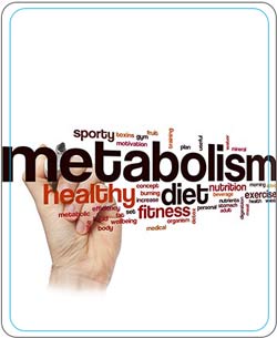 Boost Metabolism Near Me in Coral Gables, FL and Pinecrest, FL