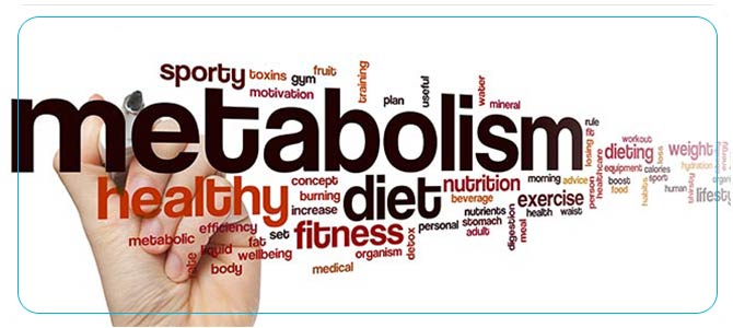 Metabolic Weight Loss Specialist Near Me in Coral Gables and Pinecrest FL