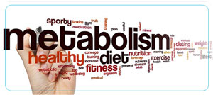 Metabolic Weight Loss Specialist Near Me in Coral Gables and Pinecrest FL