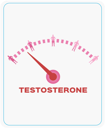 Testosterone Treatment for Weight Loss Near Me in Coral Gables, FL and Pinecrest, FL