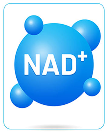 NAD+ IV Therapy Serving Miami, Coral Gables, & Pinecrest FL