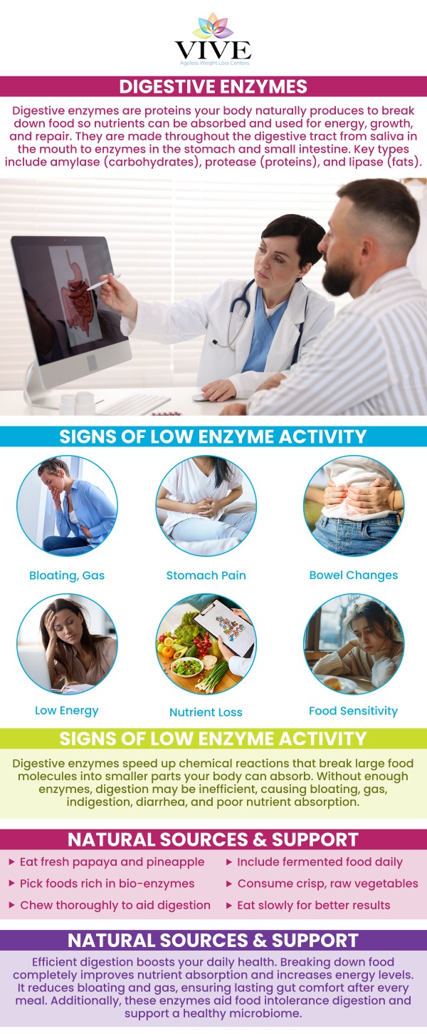 Digest enzymes are proteins that help our body to break down food and have a healthy digestive system. Digest enzymes are beneficial for irritable bowel syndrome (IBS), and also increase your energy levels. Vive Ageless Weight Loss Center will help get your digestive and gut health back on track! Rafael Olartecoechea is accepting patients all over the country. For more information, contact us or book an appointment right now. We have convenient locations in Coral Gables FL, and Pinecrest FL.